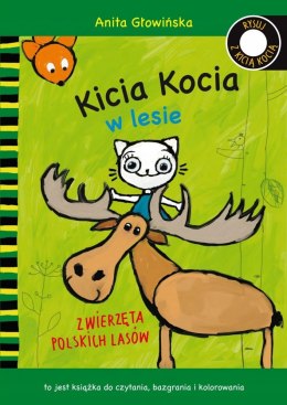 Kicia Kocia w Lesie Zwierzęta Polskich Lasów