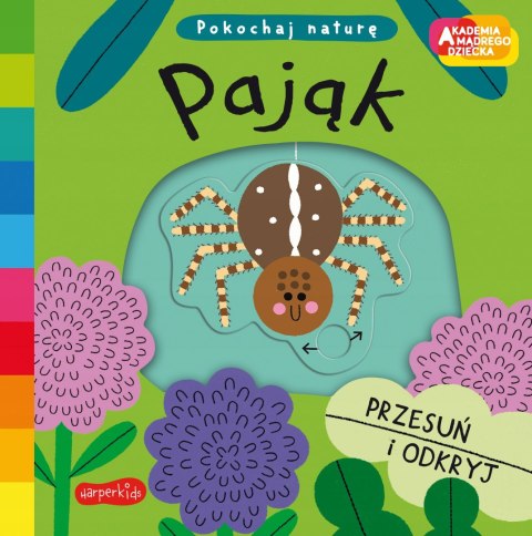 Pająk Akademia Mądrego Dziecka Pokochaj naturę