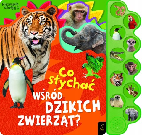 Dźwiękowa Co słychać wśród dzikich zwierząt?