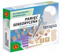 Terapia Gra Pamięć Sensoryczna Sensoryka Alexander