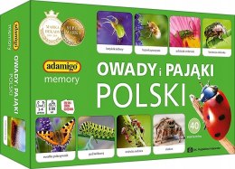 Memory Owady i Pająki Polski Adamigo Pamięć 5+