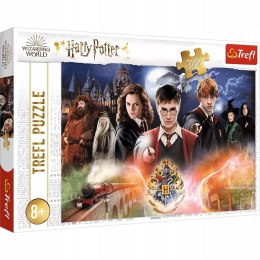 Puzzle 300 elementów Tajemniczy Harry Potter 23001 Trefl