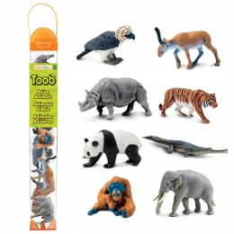 Figurki Zwierzęta Azji Zestaw Figurek w Tubie Safari Ltd.