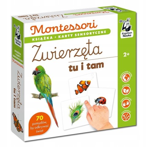 Montessori Zwierzęta tu i tam Kapitan Nauka + Poradnik z Pomysłami Zabaw 2+