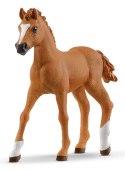 Schleich 99092 Kalendarz adwentowy 2024 Horse Club